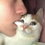 다덜 무서운 썰 풀고<b>가조</b>
