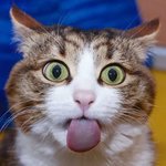 [모두드루와] 여돌보다 예쁜 남돌 최애캐릭터