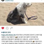 얘들아 이거 뭔지 아는 사람 ㅜㅜ