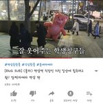 아 ㅁㅊ 이 영상 개 <b>귀</b><b>욥</b>다...