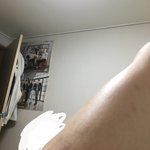 이거 몸통 어느부위게