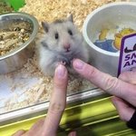 [꼭조언부탁] 나 다<b>낭성</b> 난소 증후군인데 제발 들어와주ㅠㅠ