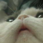 쌍수 상담받으러 갈때 <b>쌍</b><b>액</b>하고 가도 돼?