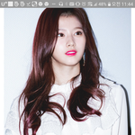 <b>사나</b> 잔머리이거봐바
