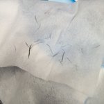 [댓글부탁해] 혐?? <b>뷰러</b>에서 잃어버린 속눈썹 찾아냄;