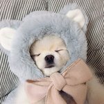 [하소연] 내가 생긴거랑 다르게 찐따야