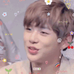 [강다니엘] <b>큐티</b>큐티