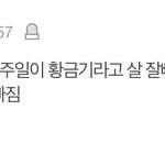 나 복코인데 <b>콧대</b>줌 봐줘..