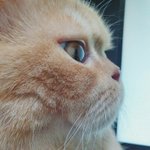 우리 할머니할아버지 럽스토리 들어볼래요(<b>feat</b>.625)