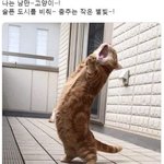 밸런타인데이 관련 질문 좀