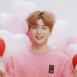 [강다니엘] 복슬머리 ㄱㅇㅇ