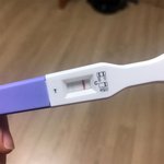 [방탈죄송] 임신테스<b>트기</b>좀 제발 봐주세요