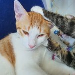 나 이제 중3<b>인디</b> 새학기 첫날에