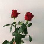 [드루와] 요즘 남자 왤케많음 판에????