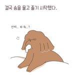 주인을 기다리다가 그대로 잠든 강아지