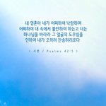 <b>시편</b> 42장 .............
