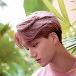 [카이] 갤러리 <b>정리</b> 중