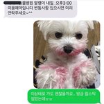 [조언부탁해] 애들아 진짜 한 번만 들어와줘 나 친구 남자 뺏은...