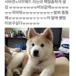 [댓글부탁해] 너네 이름 뜻 뭐야