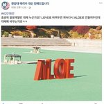[댓글부탁해] 미술 <b>전공</b>들아 한양대 미술 좋음??