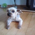 울 <b>아가</b> 떠난지 22일째