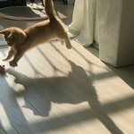 야 나 학원 <b>변명</b> 뭐라하지???????ㅈㅂㅈㅂ