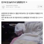 집에서 <b>도어</b>락 소리 안나게 몰래 나가는 법 옶냐