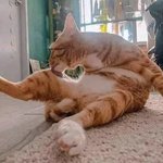 [댓글부탁해] 얘들아 <b>초경</b>있잖ㅇ아