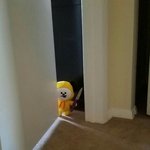 [댓글부탁해] <b>tmi</b> 한마디씩 해줘