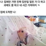[드루와] 공부때문에 멀어진 썸남 <b>입시끝</b>나면 연락올까??