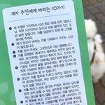 [댓글부탁해] <b>쌍수</b> 질문좀