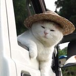 ㅈㄴ현타 오는 영화 알려줌..