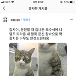[댓글부탁해] 나 <b>맥북</b> 샀는데