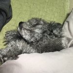 [댓글부탁해] 조용히들 해 어르신 <b>주무</b>셔