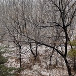 눈 <b>온당</b> 히히