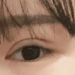 내 <b>쌍수</b> <b>전</b> 보고가 ^^