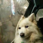 [조언부탁해] 나 고등학교로 엄마 친구들한테 뒷담까임ㅋㅋㅋ