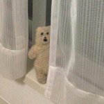 근데 ㄹㅇ 죄다 <b>유튜버</b> 하는거 맞는듯