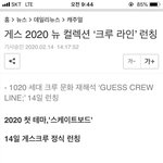 게스 크루 라인 <b>런칭</b>띄