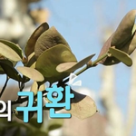 폰케이스가 렌즈 가린걸 몰랐다는 손담비