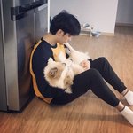 유기견 키우는 연예인들