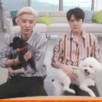 [EXO] 비비는 방송에 <b>최적</b>화된 댕댕이가 확실해