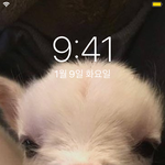 잠금화면 뭐할지 골라주세용