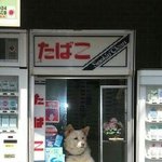 [댓글부탁] 화이트맨 단편소설. 키크는 알약