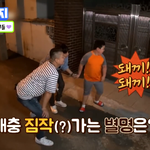 ㅅ ㅡㅂ이거 ㅈㄴ 웃기지 않냐