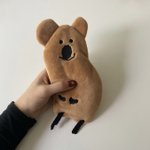 [댓글부탁해] 자기취향 필기구 올리고 가자!!