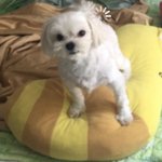 울애기 <b>새침</b>떼기다 진짜