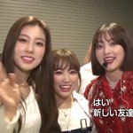 지효 <b>나코</b>