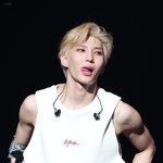 [LEO] 송곳니 <b>뾰족</b>한 정택운 보고싶다 진짜...