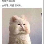 [댓글부탁해] 근데 진짜 문화의힘이 무섭다고 느껴진게